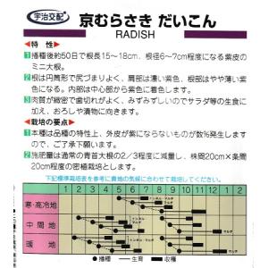 宇治交配 京むらさき ミニダイコン 20ml ...の詳細画像1