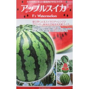 小玉スイカ F1アップルスイカ 松永種苗の小玉ス...の商品画像