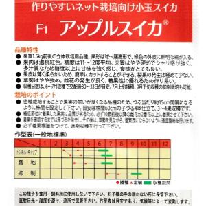 小玉スイカ F1アップルスイカ 松永種苗の小玉...の詳細画像1