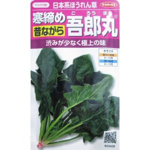 サカタ交配　寒締め吾郎丸　サカタのタネの日本系ほうれん草品種｜green-depo-1