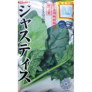 ほうれん草　サカタ交配　ジャスティス　サカタのタネのホウレンソウ品種｜green-depo-1