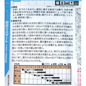 ダイヤ交配 節成りスマート トキタ種苗のキュウリ品種の詳細画像1