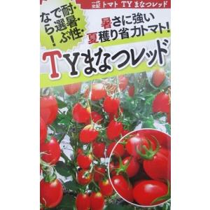 一代交配　ミニトマト種　ＴＹまなつレッド　フタバ種苗｜green-depo-1