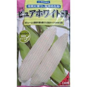 ピュアホワイトSP 雪印種苗(株)のホワイトトウ...の商品画像