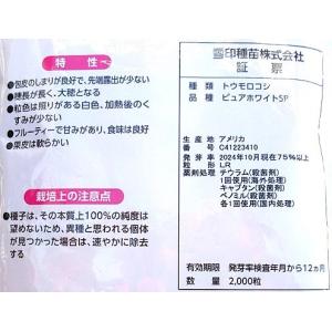 ピュアホワイトSP 雪印種苗(株)のホワイトト...の詳細画像3