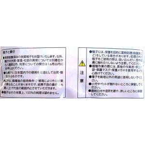 ピュアホワイトSP 雪印種苗(株)のホワイトト...の詳細画像4