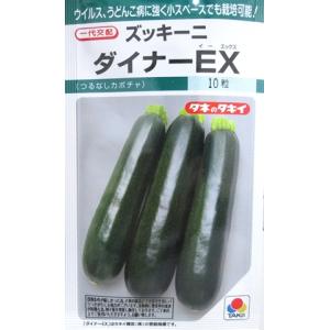 ズッキーニ　ダイナーＥＸ　タキイ種苗のズッキーニ品種