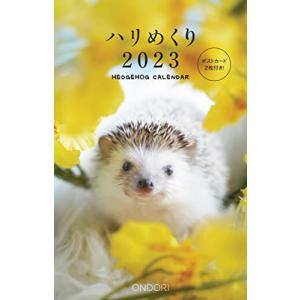 シーオーツー ハリめくり 2023年 卓上カレンダー CK-M23-01