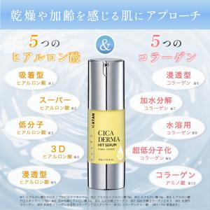 KATAN Cica ダーマヒットセラム5V ...の詳細画像4