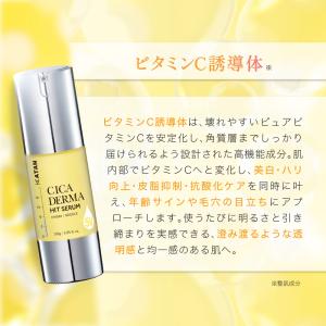 KATAN Cica ダーマヒットセラム5V ...の詳細画像2