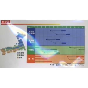 エンドウ ニムラサラダスナップ 1L(約240...の詳細画像1