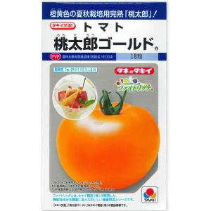 大玉トマト 桃太郎ゴールド16粒 タキイ種苗 (株) DF