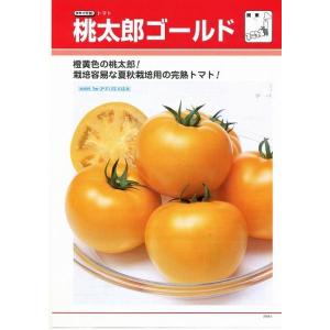 大玉トマト 桃太郎ゴールド16粒 タキイ種苗 ...の詳細画像1