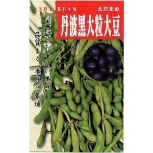 枝豆　丹波黒大粒大豆　50ml　タカヤマシード