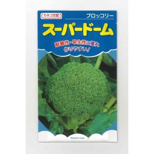 ブロッコリー スーパードーム 20ml　カネコ交配｜green-loft