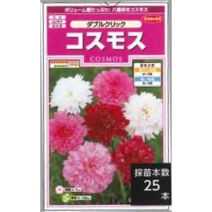 花の種　　コスモス　ダブルクリック 　約36粒　（株）サカタのタネ　実咲350