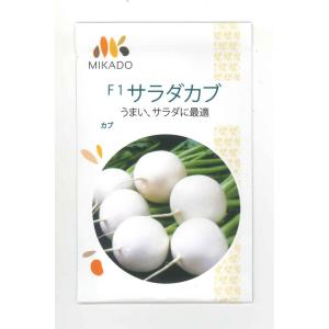 かぶ サラダカブ 4ml ヴィルモランみかど(株)の商品画像