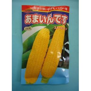 とうもろこし あまいんです 200粒 渡辺農事