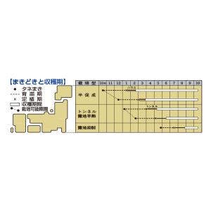 なす とげなし千両二号 35粒 タキイ種苗(株...の詳細画像1
