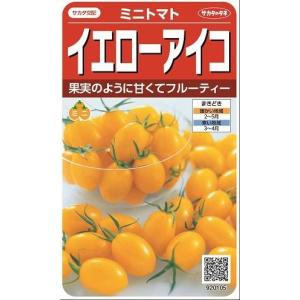 トマト ミニトマト イエローアイコ 13粒 (株...の商品画像