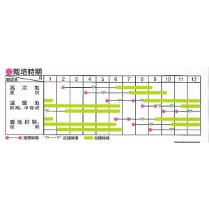 トマト ミニトマト イエローアイコ 13粒 (...の詳細画像1
