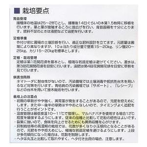 トマト ミニトマト イエローアイコ 13粒 (...の詳細画像3