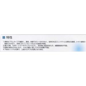 トマト ミニトマト イエローアイコ 13粒 (...の詳細画像4