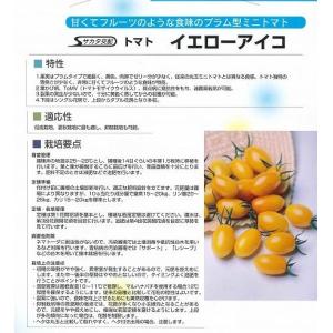 トマト ミニトマト イエローアイコ 13粒 (...の詳細画像5