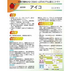 トマト ミニトマト アイコ 17粒 (株)サカ...の詳細画像2