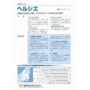 オクラ ヘルシエ 1000粒 タキイ種苗(株)の詳細画像3