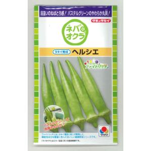オクラ　ヘルシエ　90粒　PF　タキイ育成