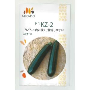 ズッキーニ KZ-2 100粒 ヴィルモランみか...の商品画像