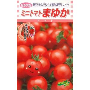 トマト　ミニトマト　まゆか　16粒　松永種苗（株）