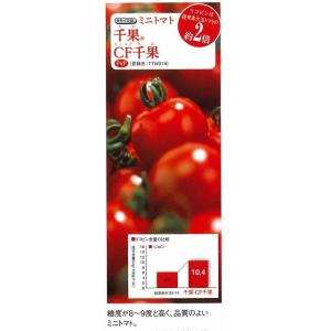 トマト ミニトマト CF千果 16粒 タキイ種...の詳細画像2
