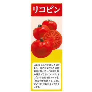 トマト ミニトマト CF千果 16粒 タキイ種...の詳細画像3