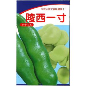 【1kg×19袋入】夏風香（枝豆・えだまめ） 種子 農業 農家 合計19kg 1kg×19袋入】夏風香（枝豆・えだまめ） 種子 農業 農家 合計19kg