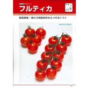 中玉トマト フルティカ 1000粒 タキイ種苗(株)の詳細画像3
