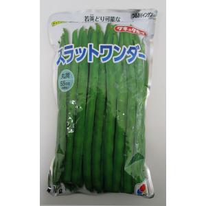 いんげん つるあり スラットワンダー 1L タキ...の商品画像