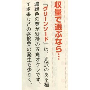 オクラ グリーンソード 1000粒 タキイ種苗(株)の詳細画像1