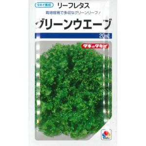 ねぎ ホワイトスター ペレット種子5000粒 タキイ種苗（株） : グリーン