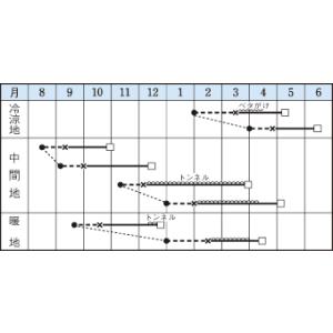 リーフレタス グリーンウェーブ 20ml タキ...の詳細画像1