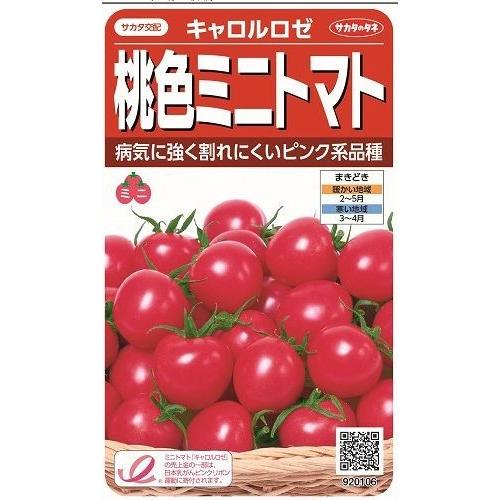 トマト　ミニトマト　キャロルロゼ　（すずなりピンク）13粒　　サカタのタネ（株）