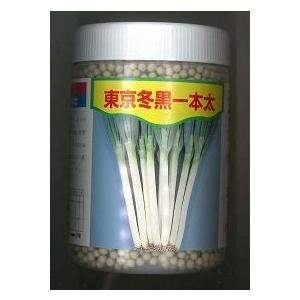 ねぎ 羽緑一本太葱ペレット種子 5000粒 （株）トーホク : グリーン