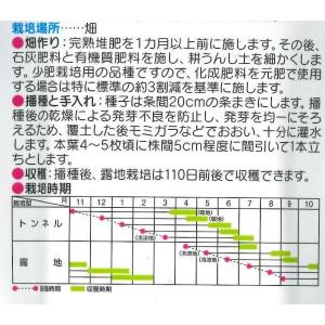 人参 ベーターリッチ ペレット 約350粒 (...の詳細画像1