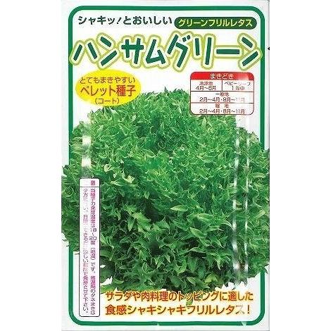 レタス ハンサムグリーン 100粒 横浜植木（株）