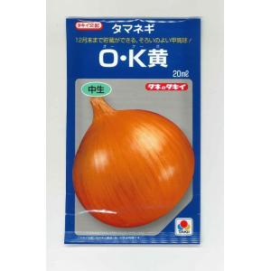 たまねぎ O・K黄 20ml タキイ種苗（株） : グリーンロフトネモト
