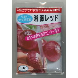たまねぎの種 もみじ3号 小袋 ( 野菜の種 ) : 菜園くらぶ Yahoo!店