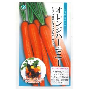 人参　オレンジハーモニー　1000粒　丸種（株）