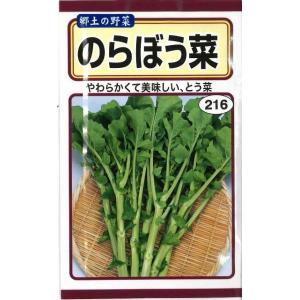 サカタのタネ（サカタノタネ） ブロッコリー アーリーキャノン 2000粒