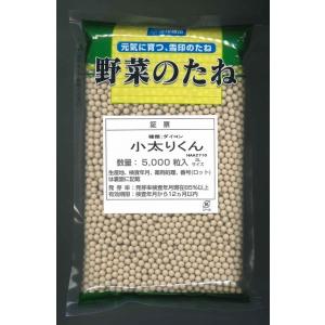 落花生 おおまさりネオ むき実種子 20粒 渡辺農事（株） : グリーン